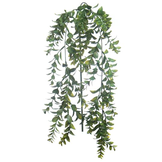 22" Dark Green Boxwood Hanging Stem by Ashland®